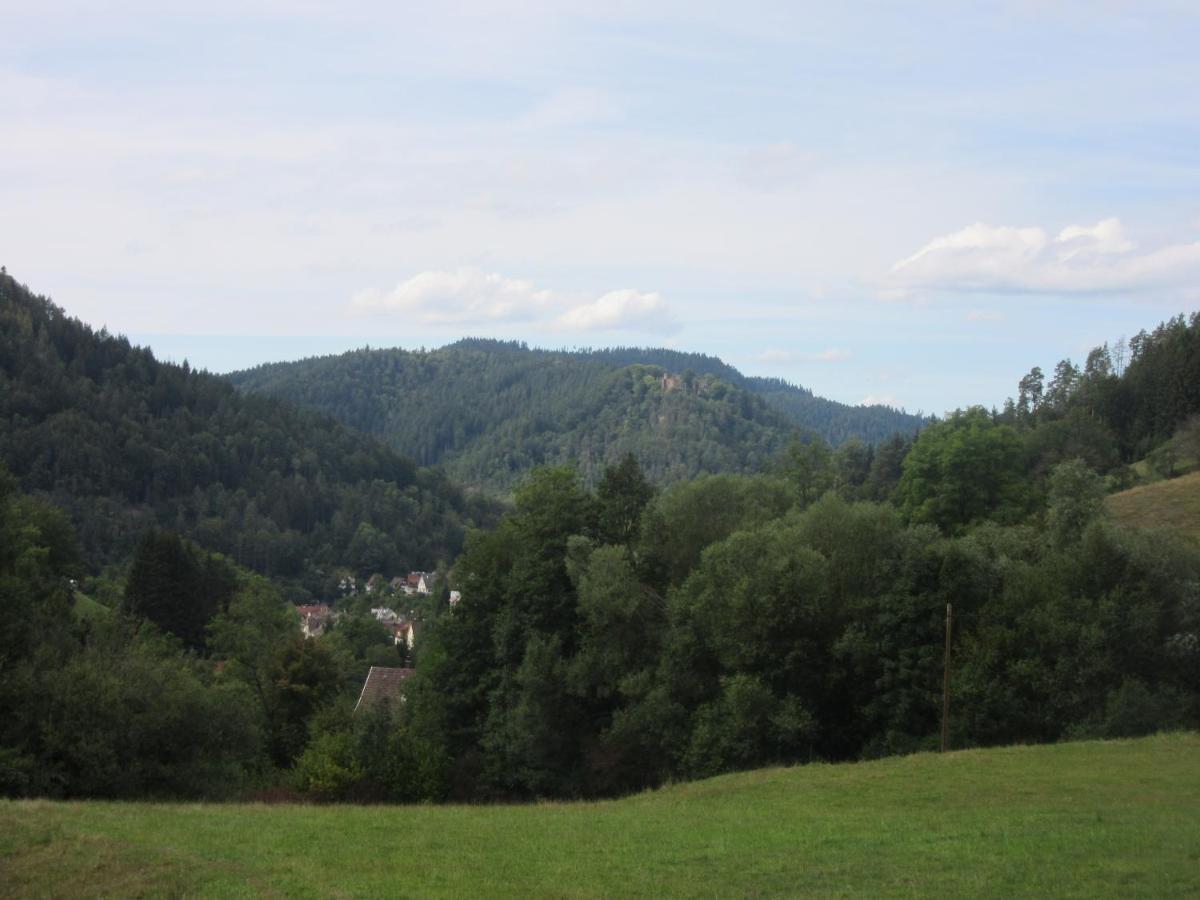 Ferienwohnungen Schwabenhof Schramberg Exterior foto